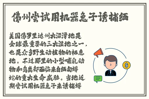 免费看 日本成熟IPHONE69